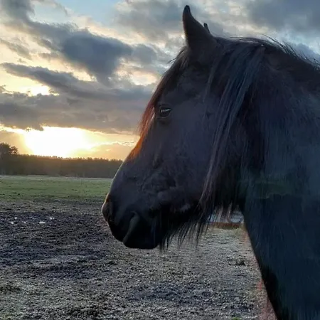 Apartment Ferienwohnung,monteurwohnung Bei Berlin