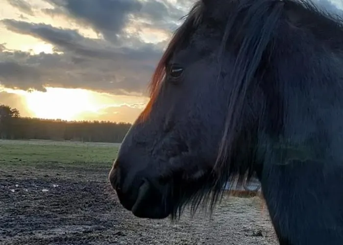 Apartment Ferienwohnung,monteurwohnung Bei Berlin